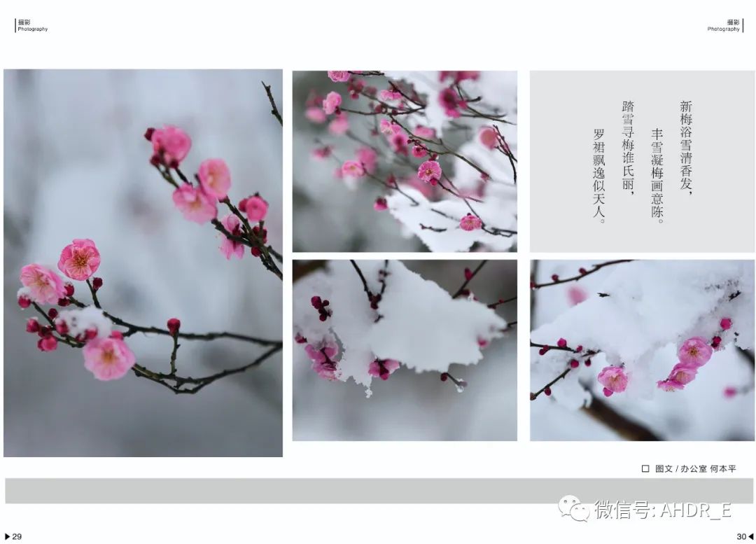 得潤電氣第二十二期內刊-31.jpg
