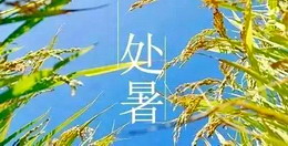 處暑|暑漸去，秋意來