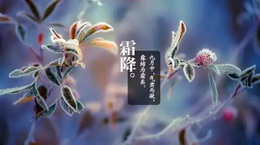 霜降已至，注意添衣保暖