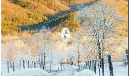 今日立冬，秋收冬藏